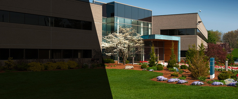 Mantua Landscapers
