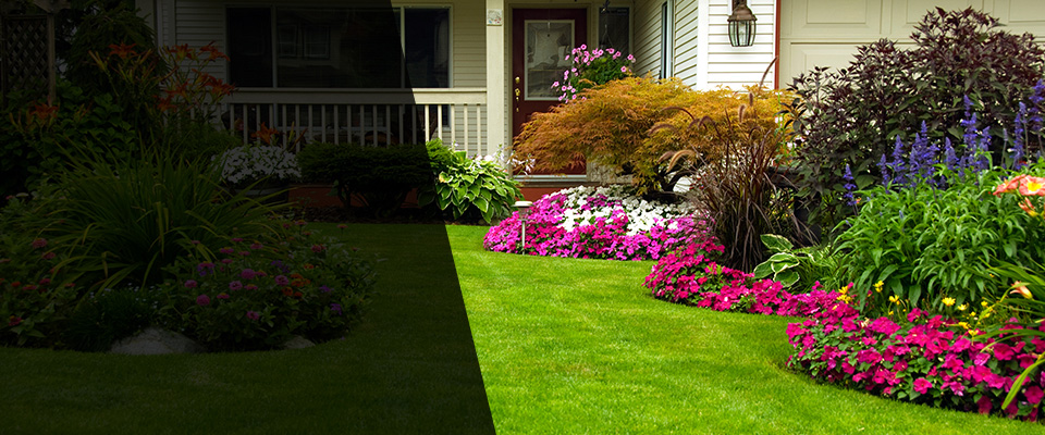 Mantua Landscapers